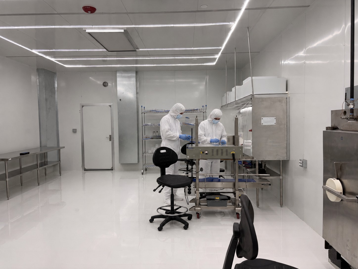 Highland Mushrooms cleanroom — two technicians in white tyvek suits, hoods, and blue nitrile gloves working at a stainless-steel processing station in the sterile production area